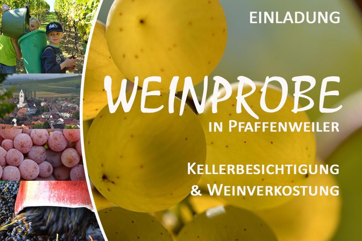 Am Weinberg - Stilvoll, Ruhig, Zum Wohlfuehlen Daire Pfaffenweiler Dış mekan fotoğraf
